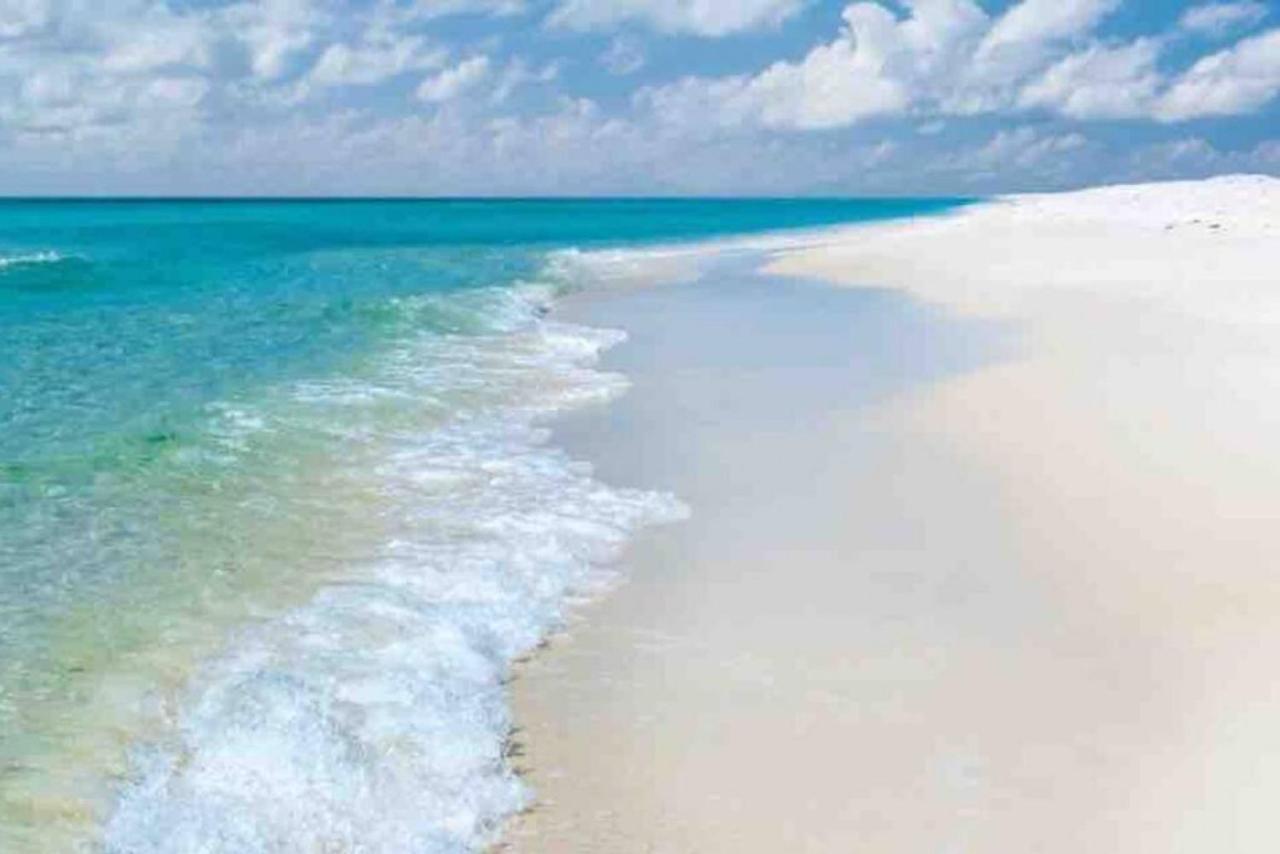 Walk To Downtown Seafood Market Bay Views Pensacola Buitenkant foto